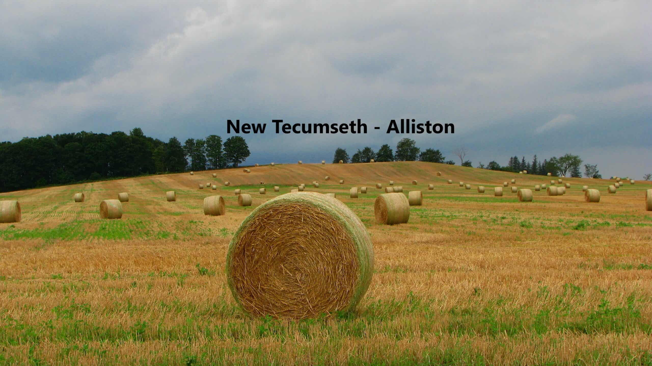 New-tecumseth-alliston