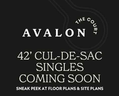 avalon the court rendering